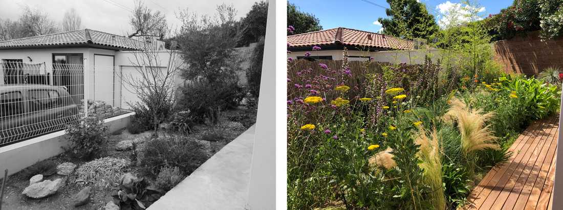 Avant-après de l'aménagement d'une petit jardin dans un lotissement par un paysagiste dans les Bouches du Rhône