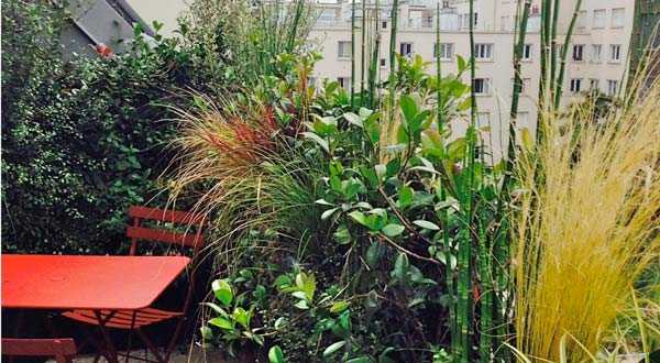 Terrace on a zinc roof