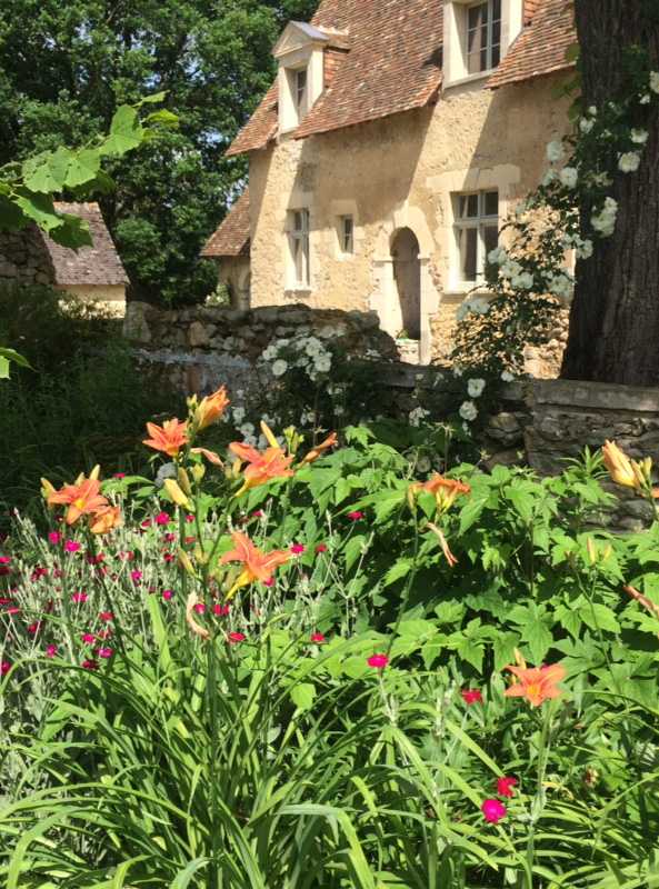 Fleurs d'orangés dans un jardin dans les Bouches du Rhône