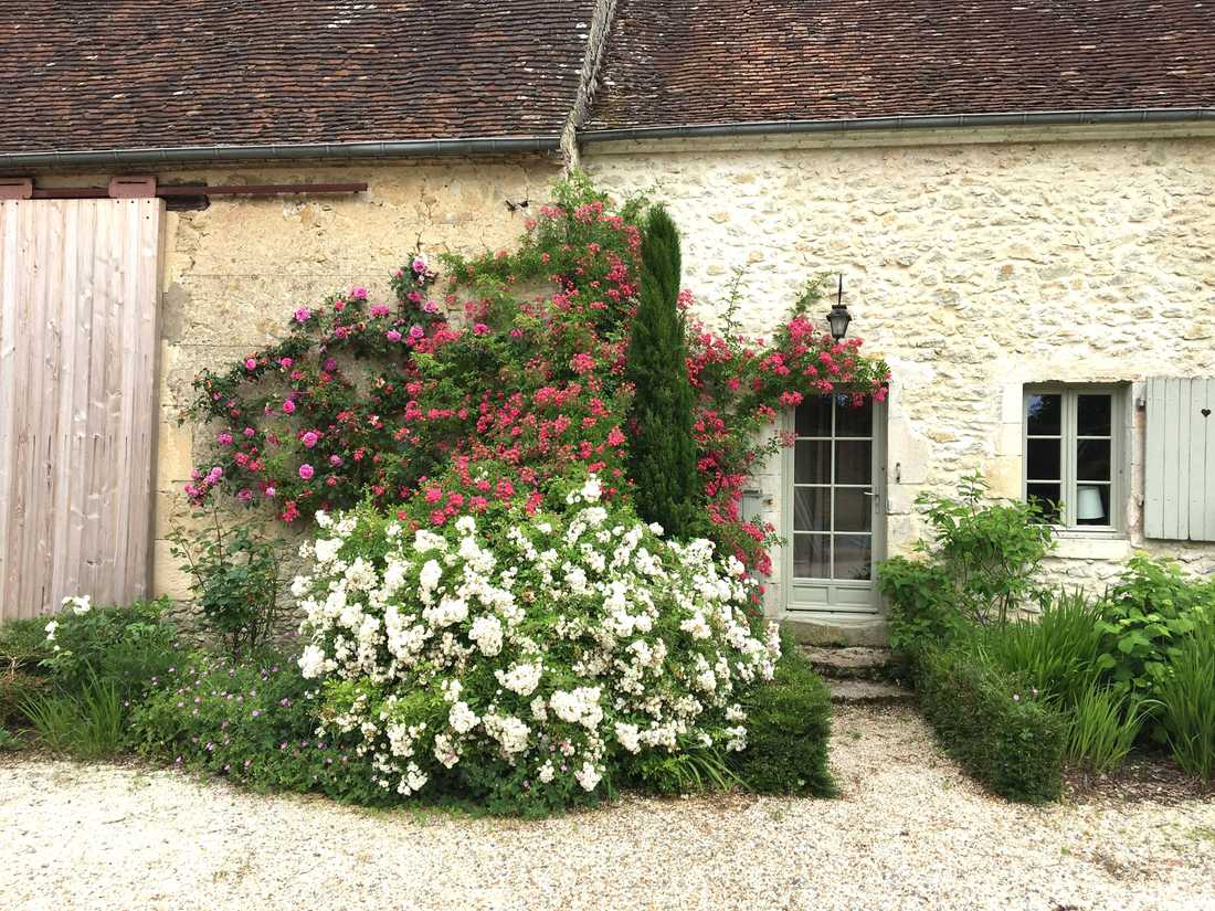 Jardin d'une maison ancienne à Marseille