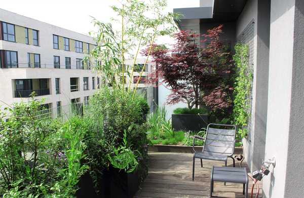 Aménagement paysager de la terrasse d'un penthouse à Marseille.