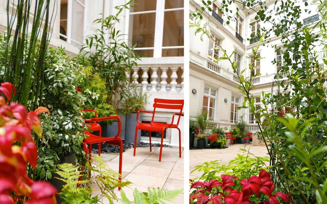 Hôtel particulier courtyard landscaping in Marseille