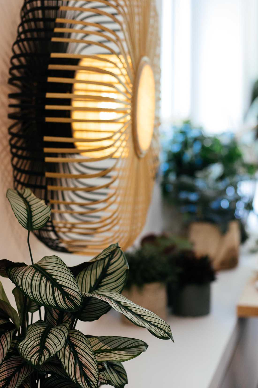 Détail d'un luminaire dans un restaurant