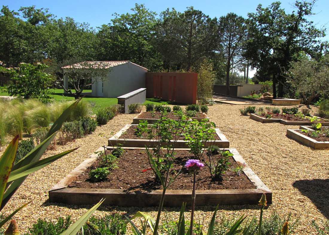 Potager méditerrannéen réalisé par un jardinier paysagiste à Marseille